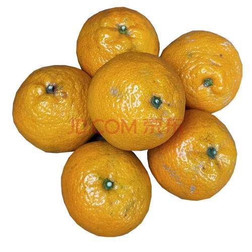 (新鲜水果)温州瓯柑苦橘降火自种水果苦柑苦桔丽水温州特产10斤拼购