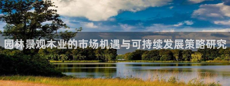新宝太阳 gg
