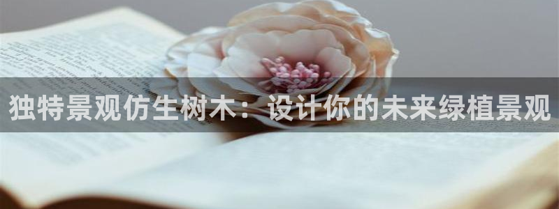 新宝gg平台gg登录gg网址