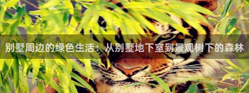 新宝gg创造奇迹下载