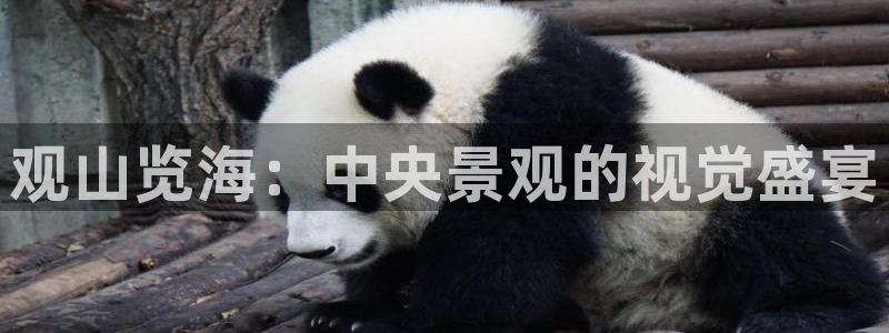 娱乐世界新宝gg