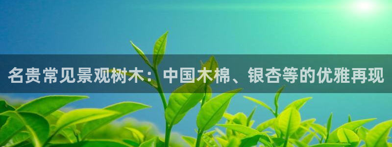 新宝gg-