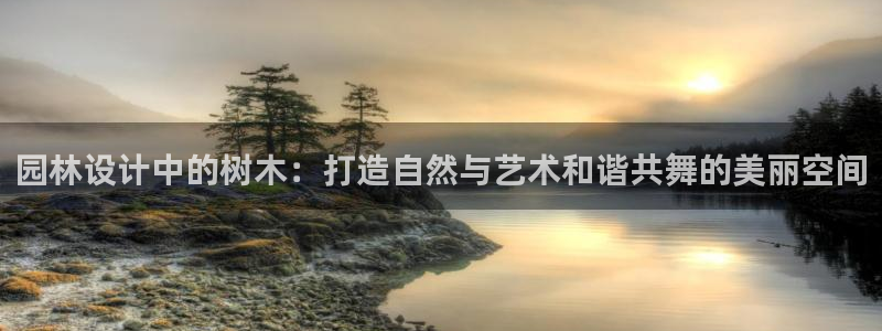 www.新宝gg
