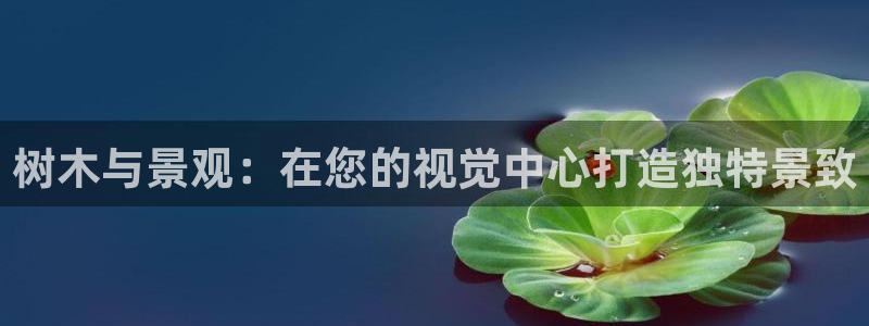 新宝gg 奇迹