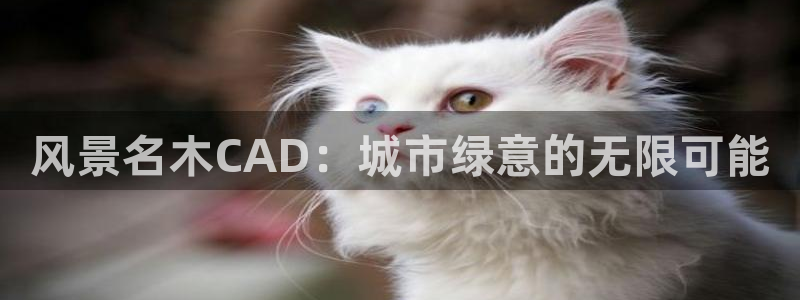 新宝gg博彩