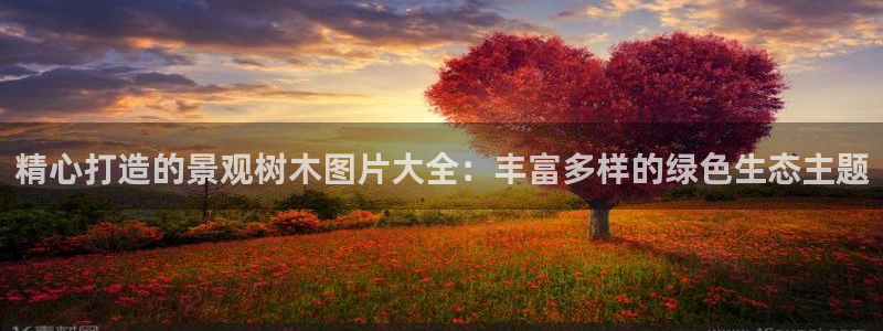 新宝gg怎么样