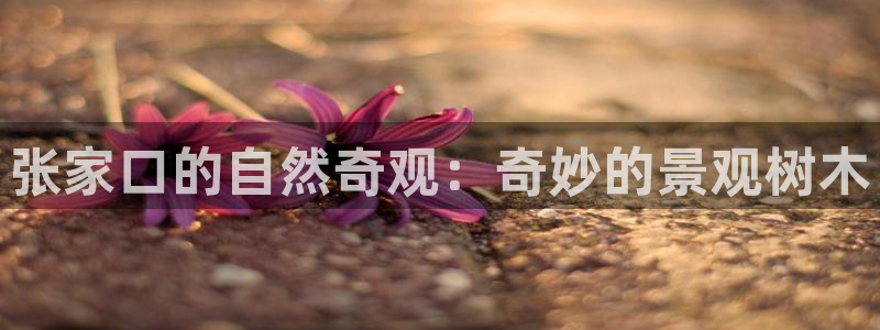 新宝gg主管weibo