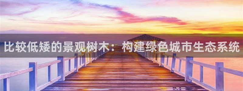 新宝gg开