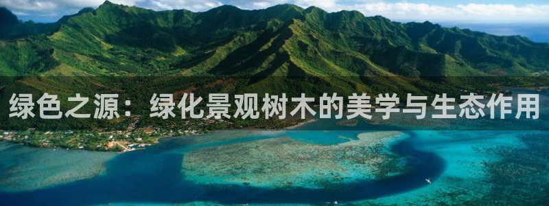 新宝gg论坛