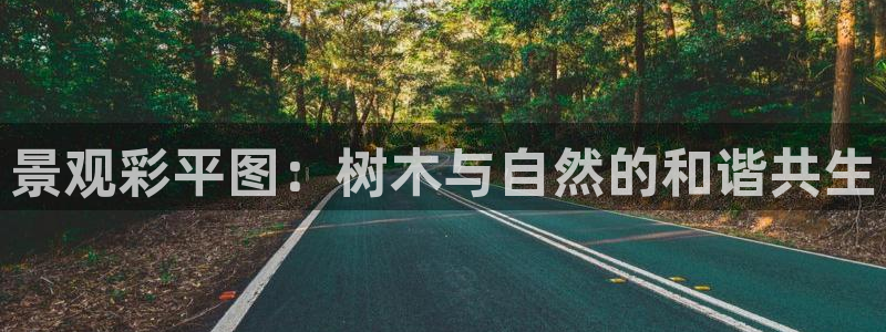 新宝gg网址