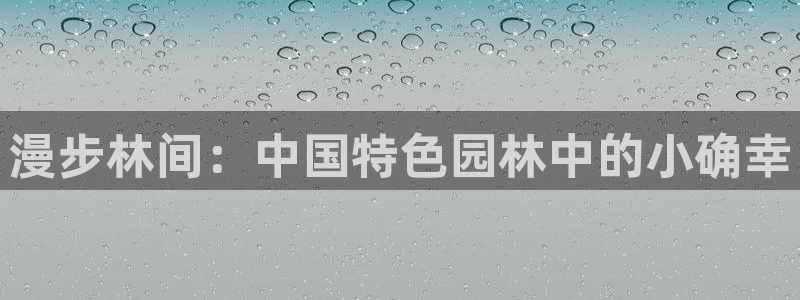 新宝gg开奖