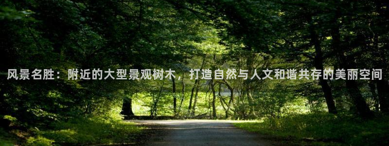 网站是新宝gg