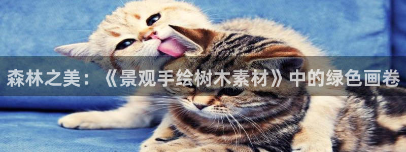 新宝gg开好