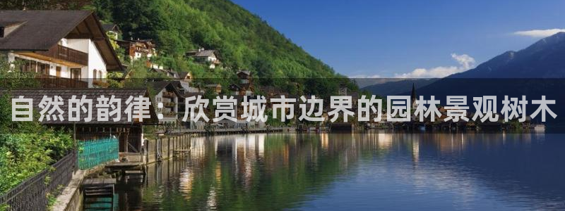 怎么代理新宝gg
