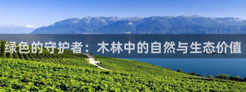 新宝gg代理