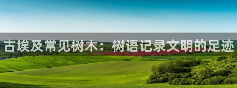 新宝GG—创造奇迹
