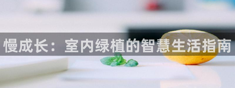新宝Gg测速地址