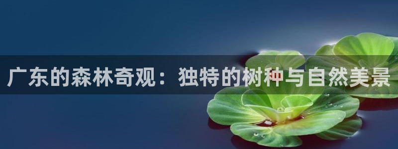 旧版新宝GG