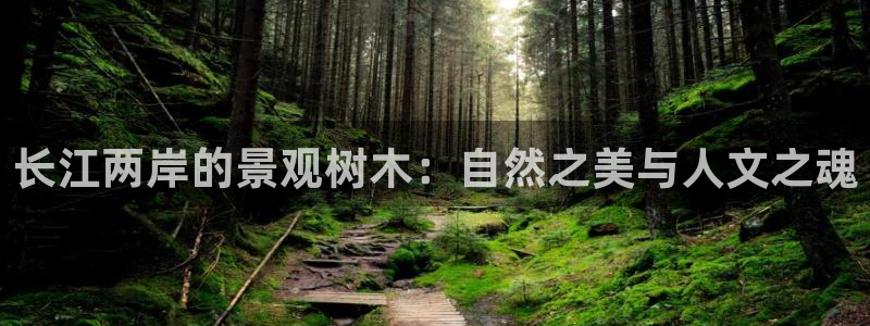 新宝g新宝gg