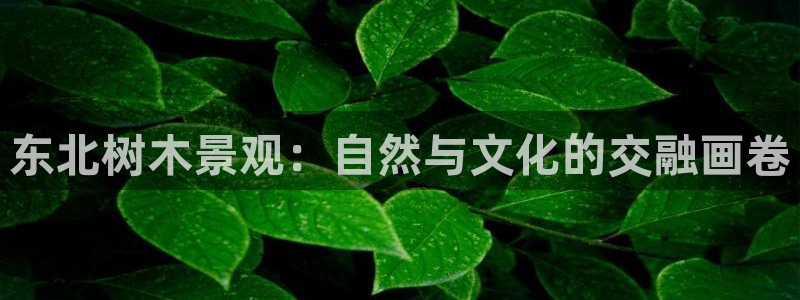 新宝gg-创业奇迹