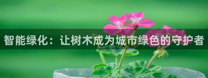 新宝gg合作