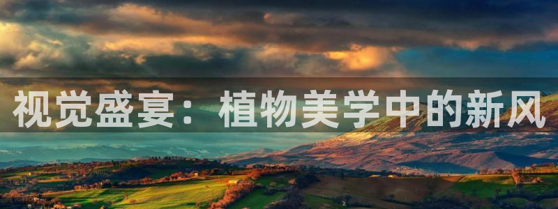 新宝gg是什么