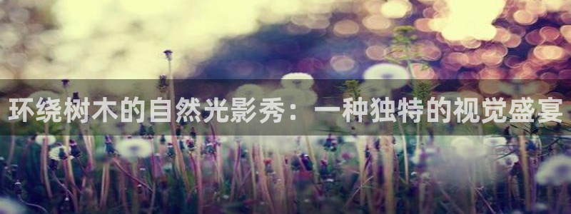 新宝GG无法充值