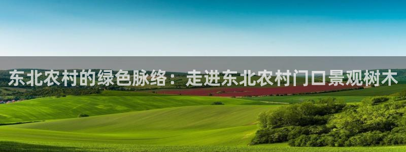 新宝gg资料