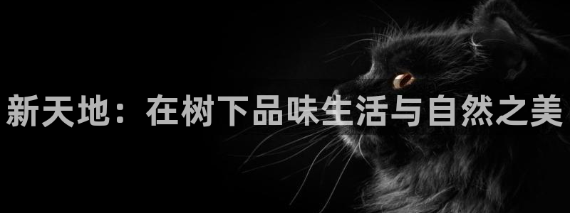 新宝gg网点