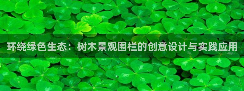 新宝奇迹GG