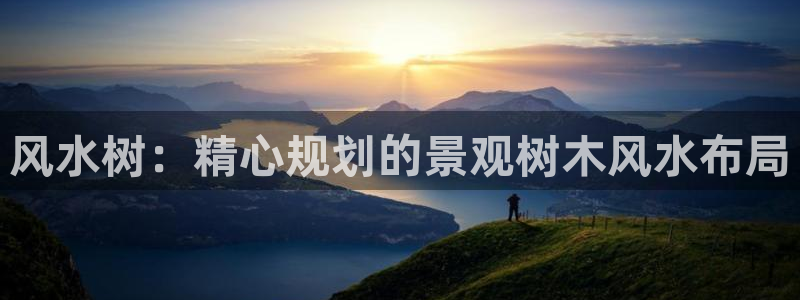 新宝gg什么