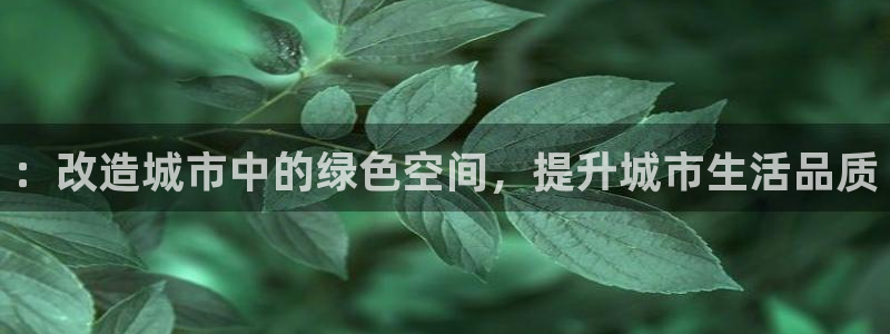 新宝gg主管weibo