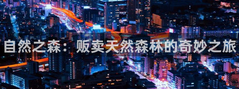 新宝gg代