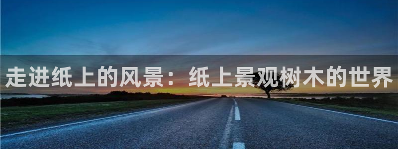 新宝GG创业奇迹