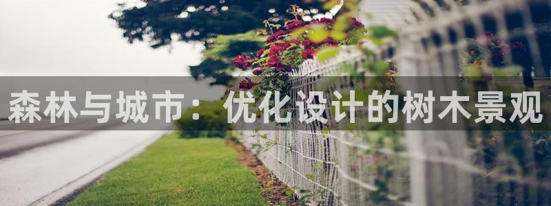 新宝GG管理