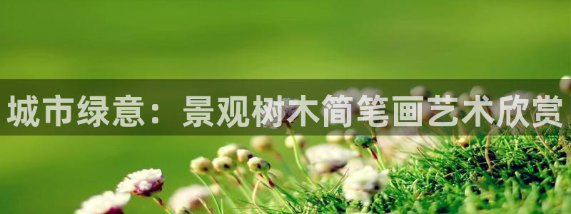 新宝6娱乐新宝gg