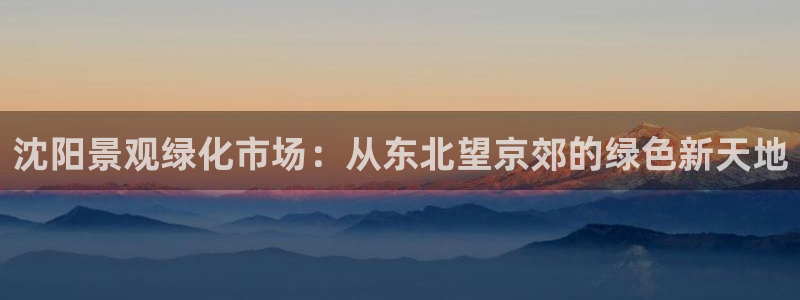 新宝gg为什么没人管