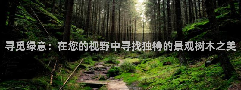 新宝gg漏洞