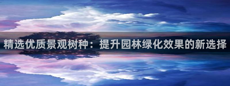 新宝6娱乐新宝gg