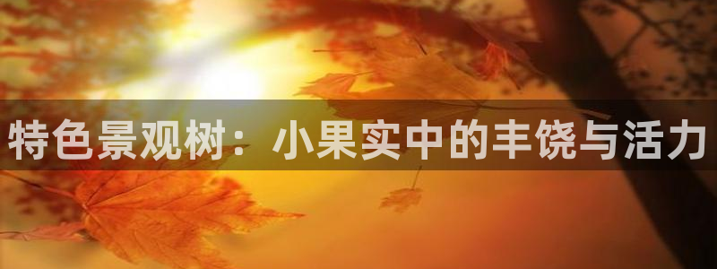 新宝gg娱乐客户端下载