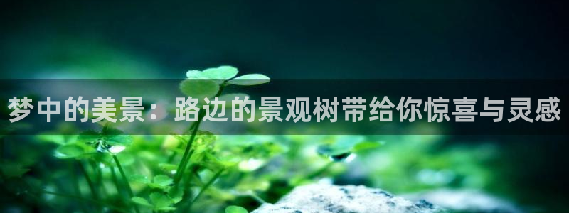 新宝gg官方下载：梦中的美景：路边的景观树带给你惊喜与灵感