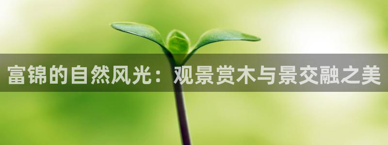 新宝GG娱：富锦的自然风光：观景赏木与景交融之美