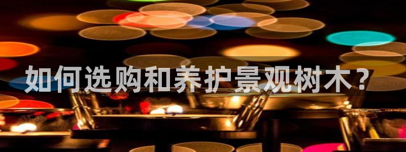 新宝gg集团