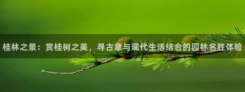 新宝gg软件下载