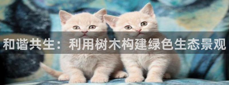 新宝gg娱乐登录地址：和谐共生：利用树木构建绿色生态景观