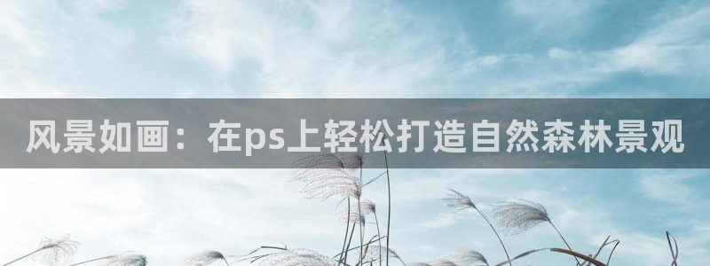新宝gg一创造奇迹