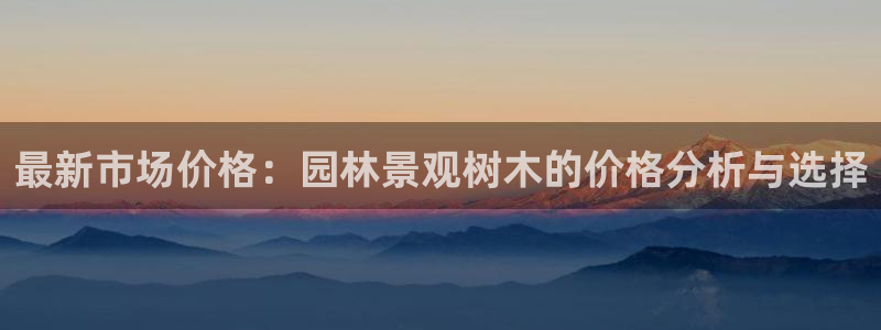 新宝gg可靠