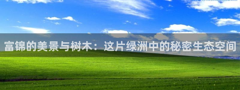新宝GG绿色：富锦的美景与树木：这片绿洲中的秘密生态空间