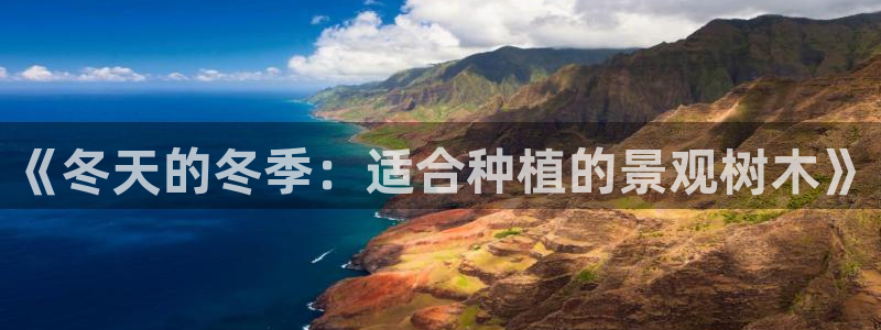 新宝gg手机助手