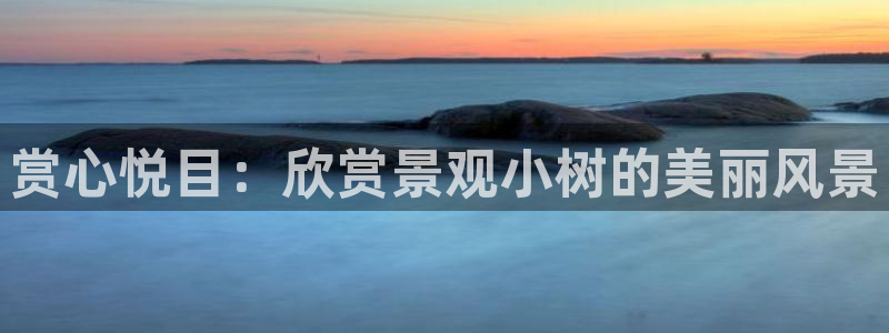 新宝gg赞颂63390：赏心悦目：欣赏景观小树的美丽风景